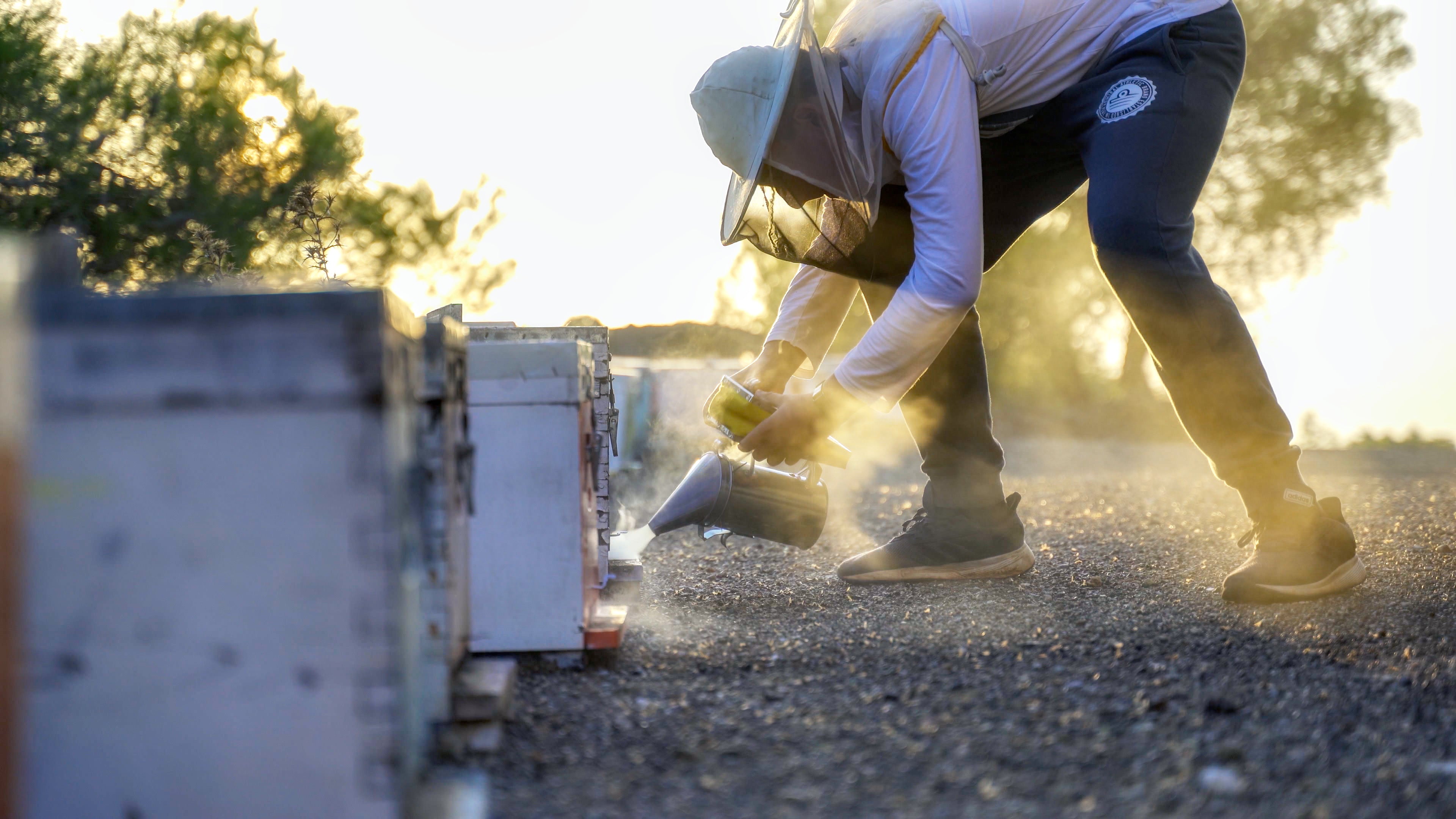 Smoking Bee Hives Thasos island